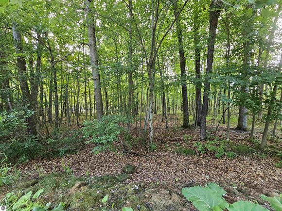 lOT 6 Jose Lake Drive South Branch, MI Plot of land Active - Photo 1 of 6. Opens carousel modal