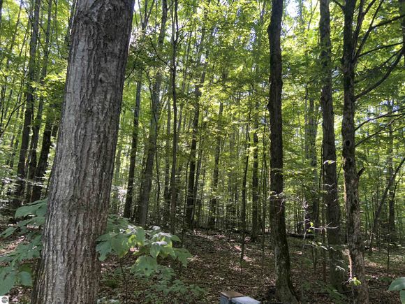 Lot 41 Heideldorf Lane Bellaire, MI Plot of land Active - Photo 1 of 7. Opens carousel modal