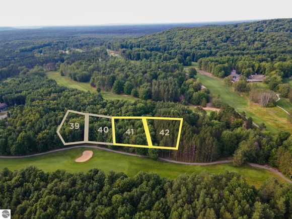 0000- 41 & 42 Trailside Drive Thompsonville, MI Plot of land Active - Photo 1 of 13. Opens carousel modal