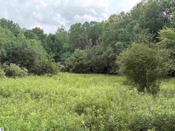 11546 E 3 1/2 Road Luther, MI Plot of land Active - Photo 1 of 7. Opens carousel modal