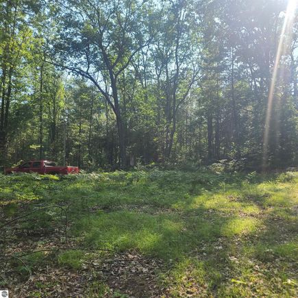 0000 NE Bailey Road Kalkaska, MI Land Active - Photo 1 of 6. Opens carousel modal