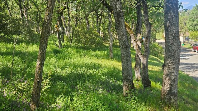 15583 33rd AVE Clearlake, CA Land Active - Photo 1 of 3. Opens carousel modal