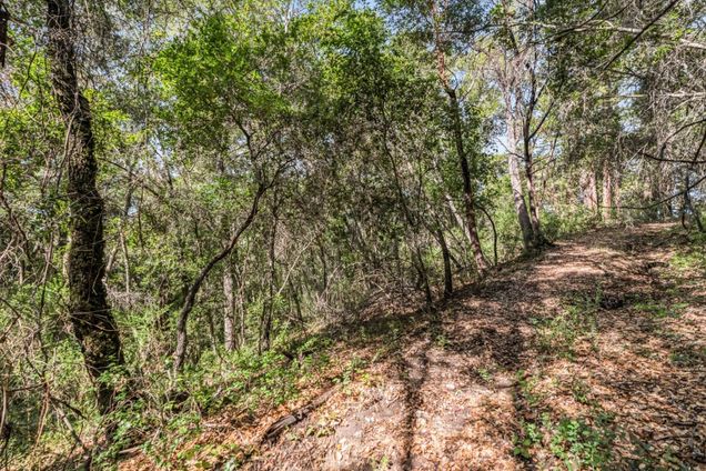 Lot 08 Madrone AVE FELTON, CA Plot of land Active - Photo 1 of 8. Opens carousel modal