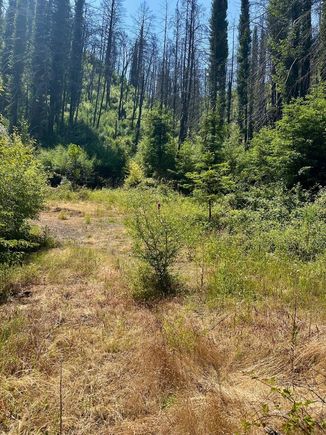 678 Swanton RD DAVENPORT, CA Plot of land Active - Photo 1 of 7. Opens carousel modal