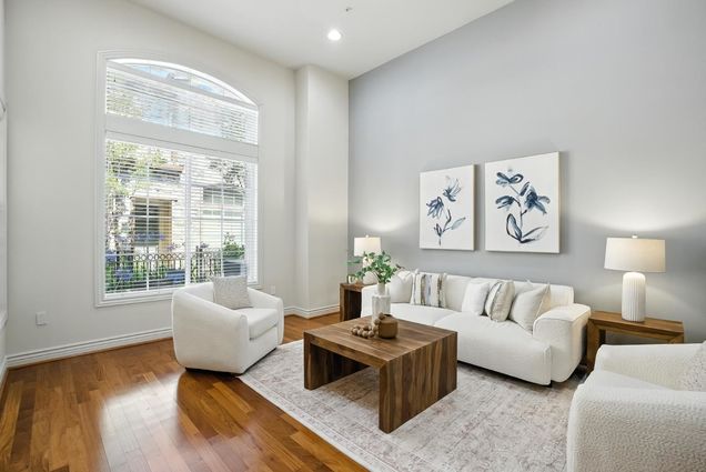 255 Honeylocust TER