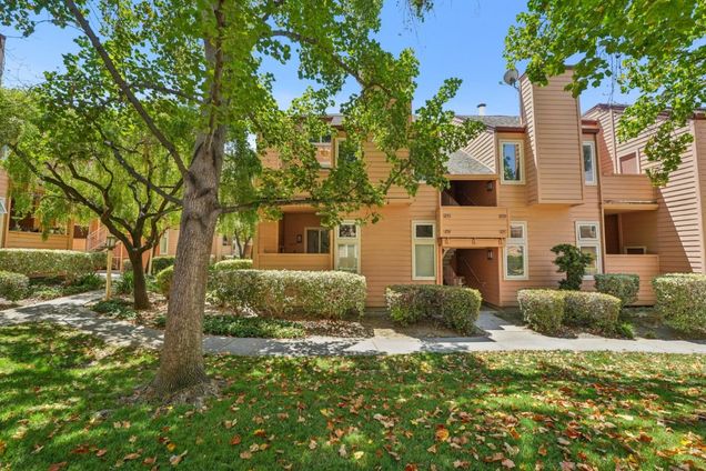 255 Sumba CT