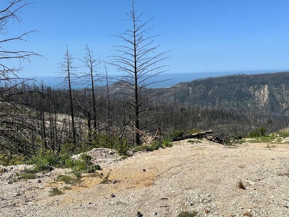 0 S Pine Mountain Rd. DAVENPORT, CA Land Active - Photo 1 of 15. Opens carousel modal