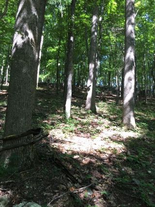 0 Sugar Tree Hollow RD