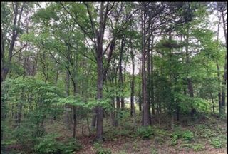 Lot 10 Purgatory Mountain RD