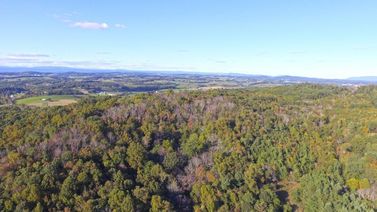 0 Piney Woods RD