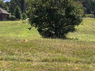 Lot 40 Settlers RD