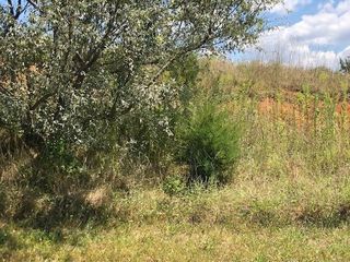Lot 44 Settlers RD