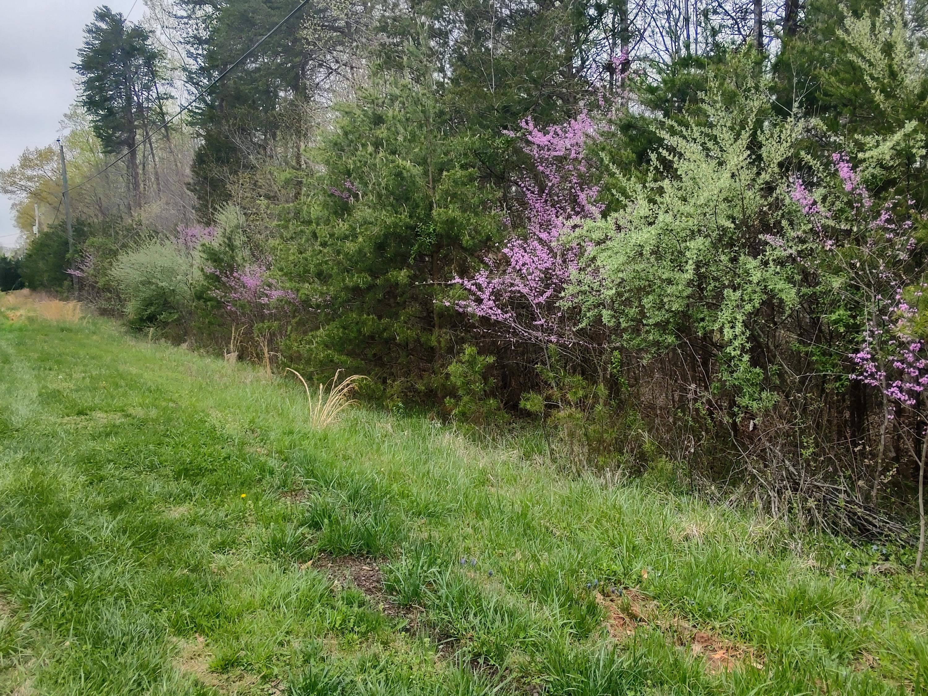 Lot 20 Lakewood Frst RD
