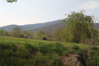 1809 Wheats Valley RD