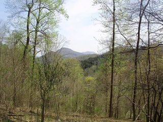 0 Sugar Tree Hollow RD