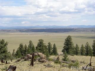 Salt Ranch Trail