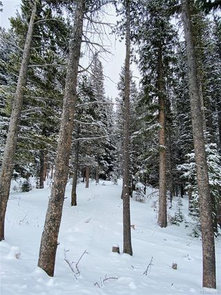 Silver Creek Road