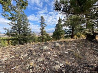 332 Mt Elbert Drive