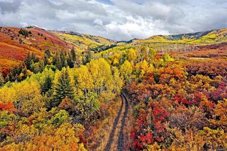 61779 Le Road