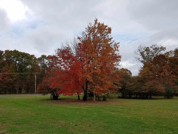 775 Route 54 Williamstown, NJ Plot of land Sold - Photo 1 of 2. Opens carousel modal