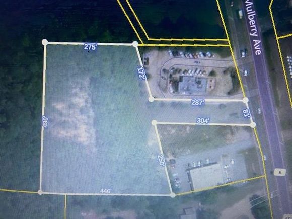 00 Mulberry Ave Selmer, TN Plot of land Active - Photo 1 of 11. Opens carousel modal