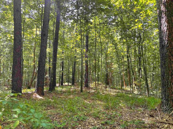 389 Pleasant Hill Dr Holly Springs, MS Plot of land Sold - Photo 1 of 14. Opens carousel modal