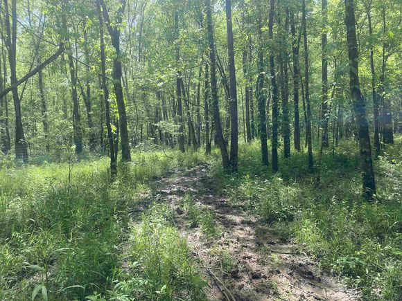 7560 Hatch Cir Bartlett, TN Plot of land Sold - Photo 1 of 3. Opens carousel modal
