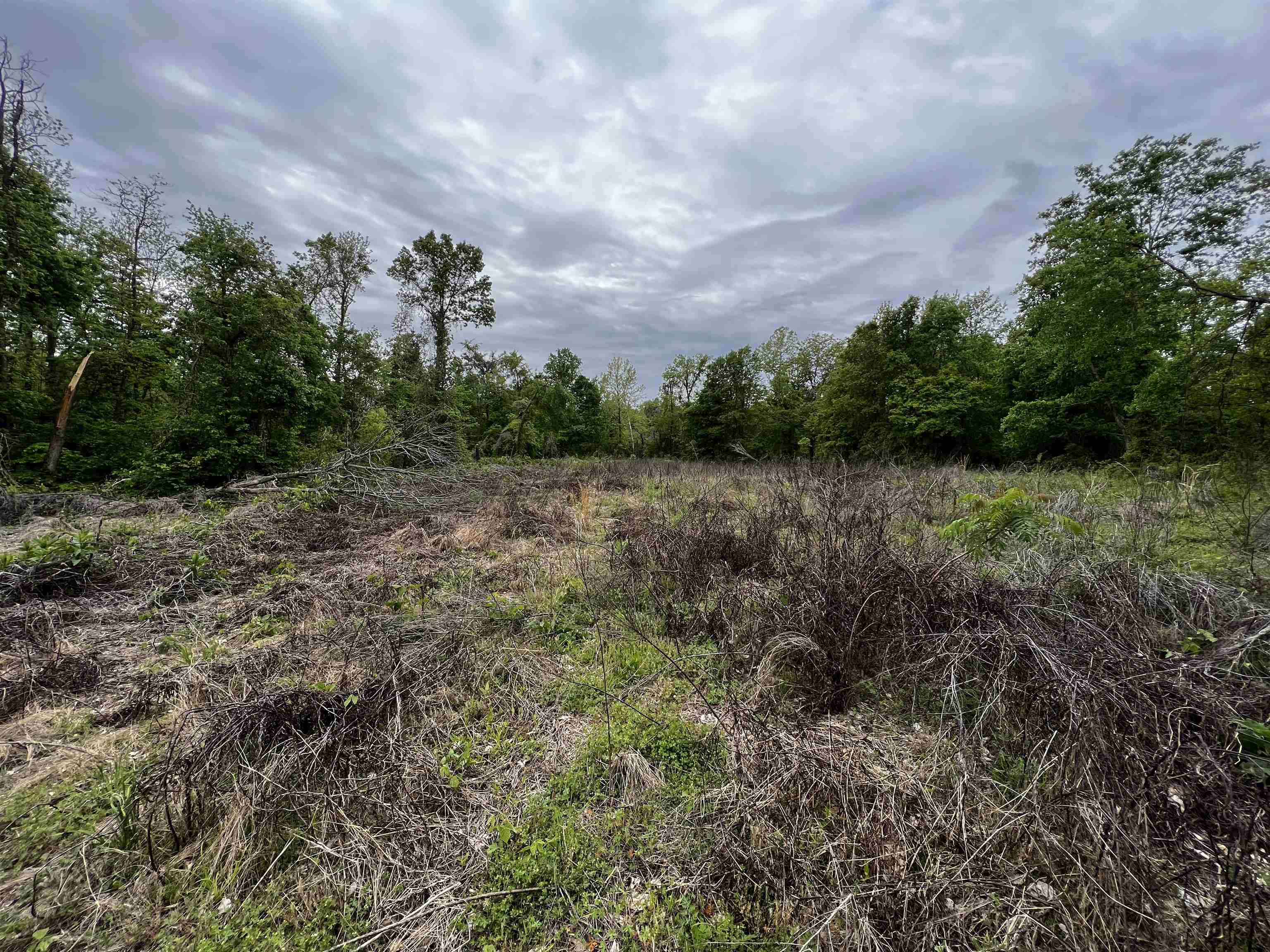 Richardson Landing Rd, Unicorp/Drummonds, TN 38023 Estately 🧡 MLS