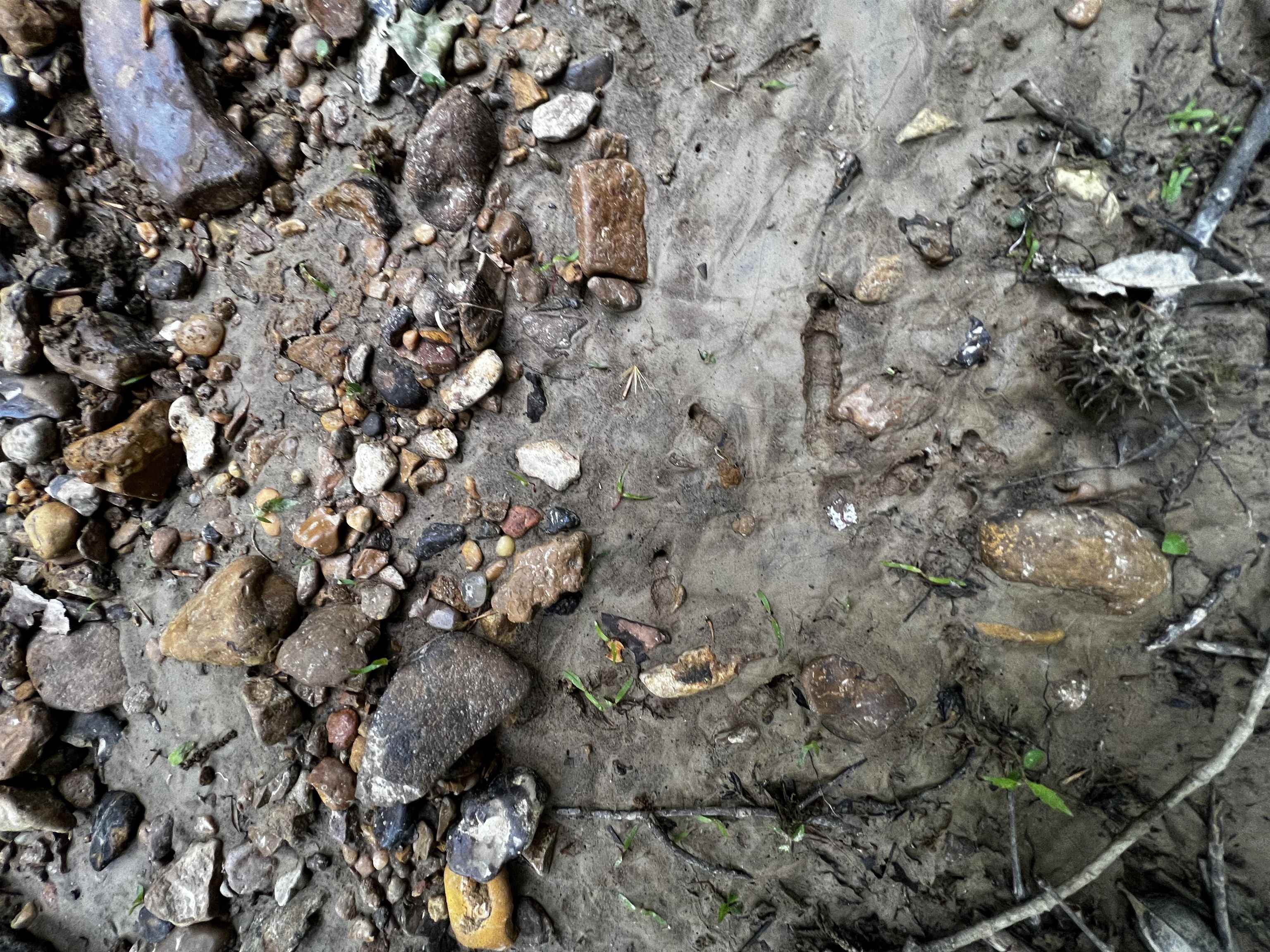 Richardson Landing Rd, Unicorp/Drummonds, TN 38023 Estately 🧡 MLS