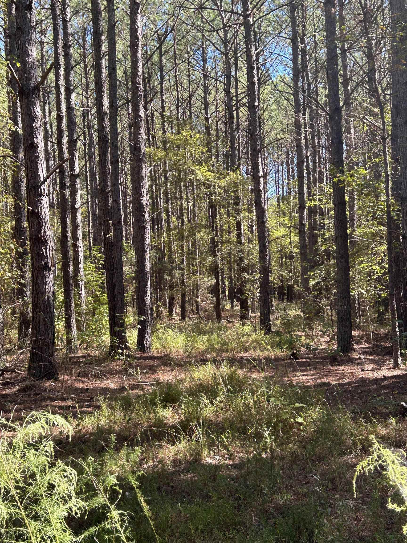 7000 Mckinstry Rd, Moscow, TN 38057 Estately 🧡 MLS 10183577