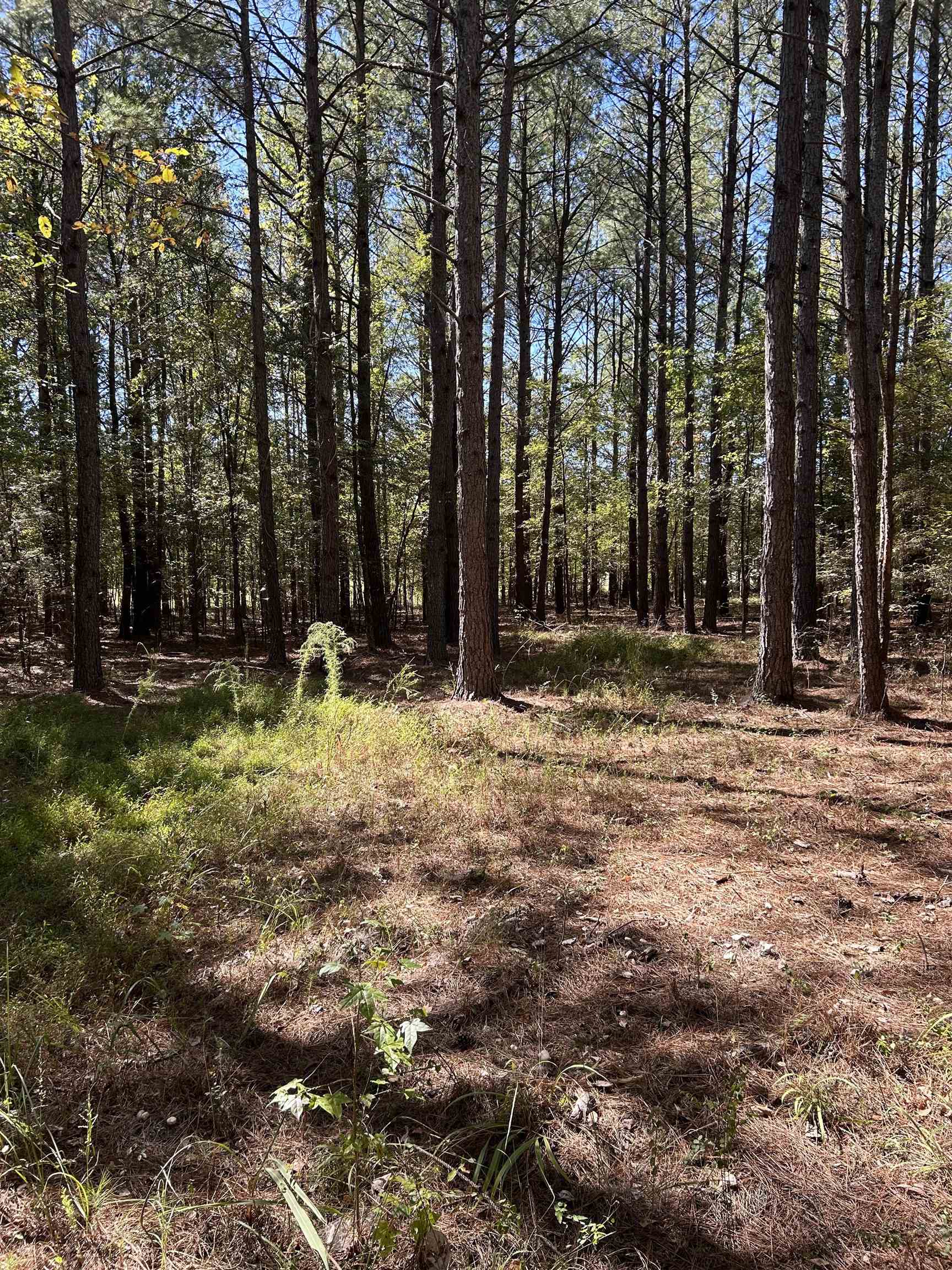 7000 Mckinstry Rd, Moscow, TN 38057 Estately 🧡 MLS 10183577