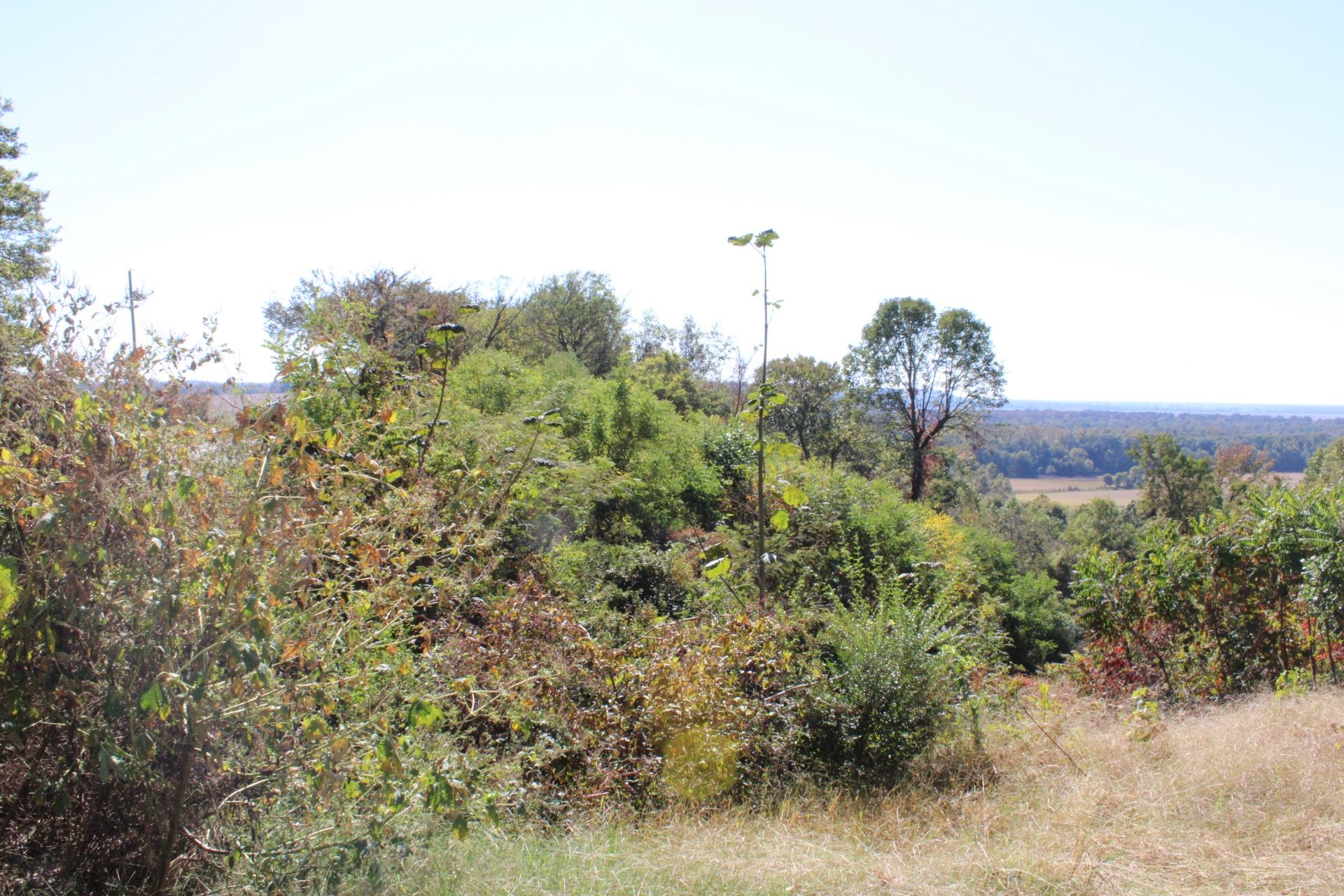 5219 Porters Gap Rd, Halls, TN 38063 Estately 🧡 MLS 10183819