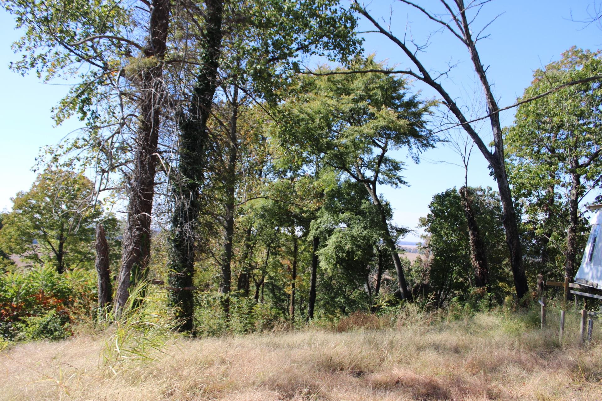 5219 Porters Gap Rd, Halls, TN 38063 Estately 🧡 MLS 10183819