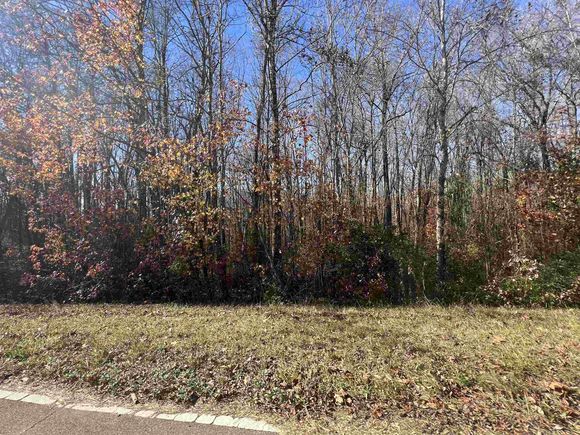 0 Hwy 22 Hwy McKenzie, TN Plot of land Active - Photo 1 of 7. Opens carousel modal