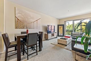 445 Island Avenue Unit 411