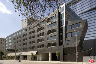 901 S Flower Street Unit 307