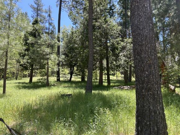 0 Tollgate Road Idyllwild, CA Land Pending - Photo 1 of 14. Opens carousel modal