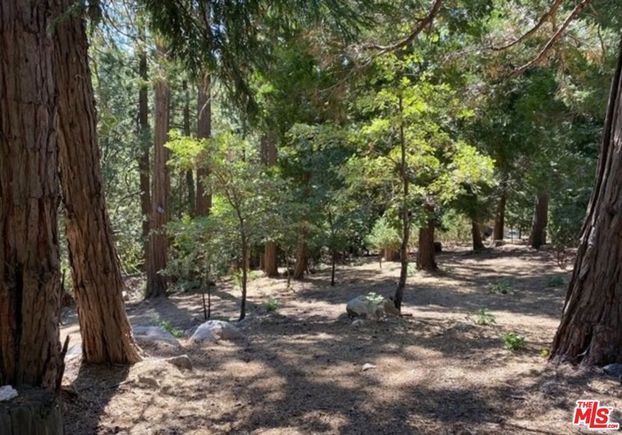 0 Grass Valley Lake Arrowhead, CA Land Active - Photo 1 of 3. Opens carousel modal