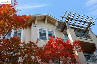 1840 Tice Creek Dr Unit 2436