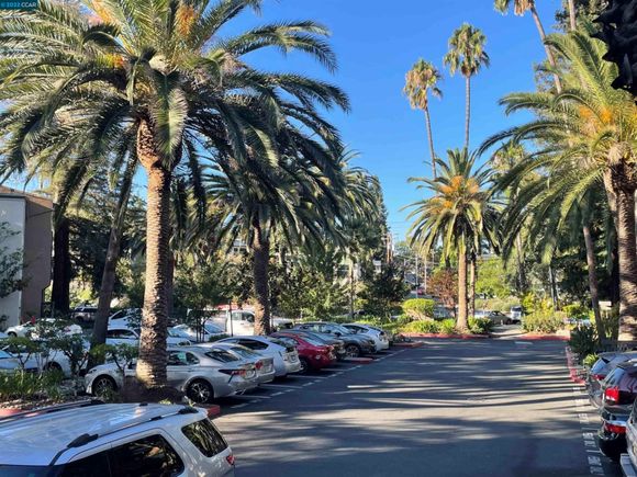 175 Sierra Drive Unit 209 Walnut Creek, CA Condo Sold - Photo 1 of 37. Opens carousel modal