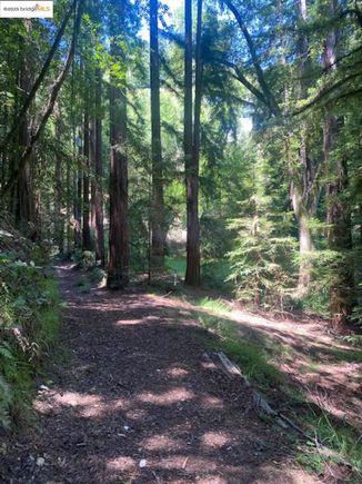 2 Wainwright Pl Mill Valley, CA Land Active - Photo 1 of 4. Opens carousel modal