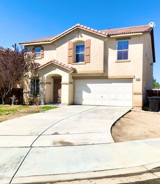 14196 Paddock Road