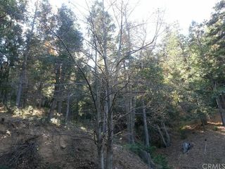 0 Torrey Road