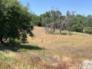 2046 N Dome Drive Coarsegold, CA Plot of land Sold - Photo 1 of 10. Opens carousel modal