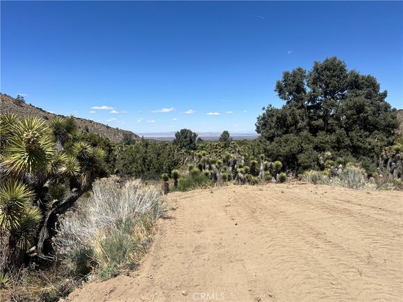 0 Evergreen Road Pinon Hills, CA Land Active - Photo 1 of 12. Opens carousel modal
