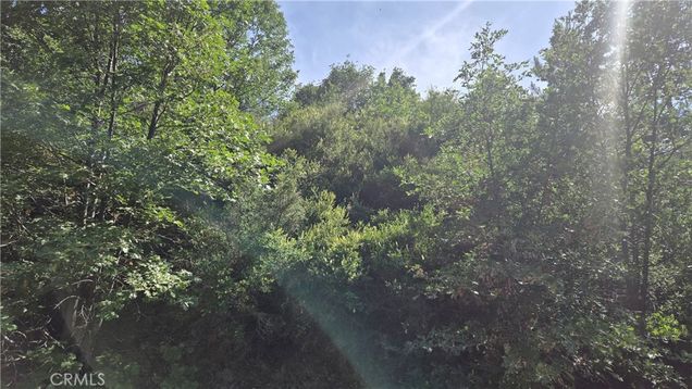 0 Elder Drive Cedar Glen, CA Plot of land Active - Photo 1 of 8. Opens carousel modal