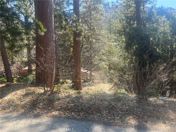 0 Robin Oak Drive Angelus Oaks, CA Plot of land Active - Photo 1 of 5. Opens carousel modal