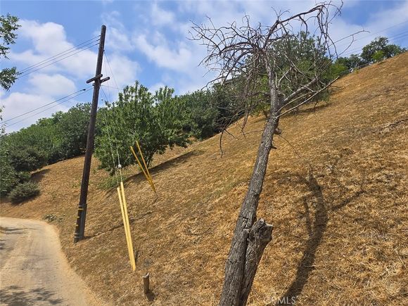 2605 Forest Park Drive El Sereno, CA Land Active - Photo 1 of 1. Opens carousel modal
