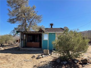 8424 Willow