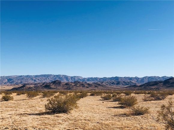 46 Desert Lily Street Joshua Tree, CA Plot of land Active - Photo 1 of 12. Opens carousel modal